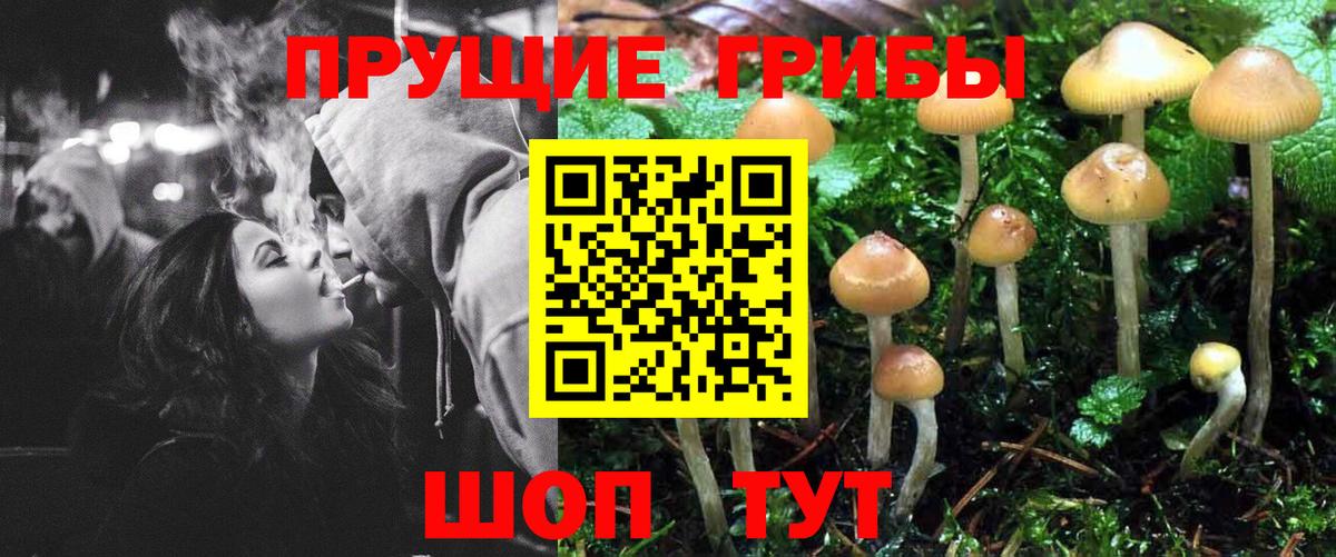 Галлюциногенные грибы ЛСД Лысьва