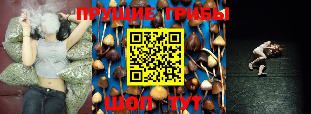 Псилоцибиновые грибы MAGIC MUSHROOMS  Галлюциногенные грибы GOLDEN TEACHER  Вход с VPN  Лысьва 